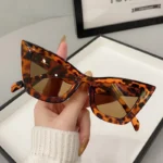 Big Frame Vintage Square Cat Eye Sunglasses Women Men Trendy Fashion Eyewear